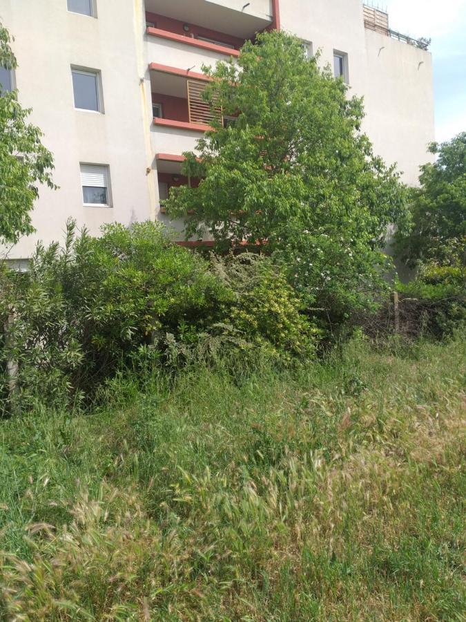 Le Nomade, Parc Montcalm Et Stationnement Prive Apartamento Montpellier Exterior foto